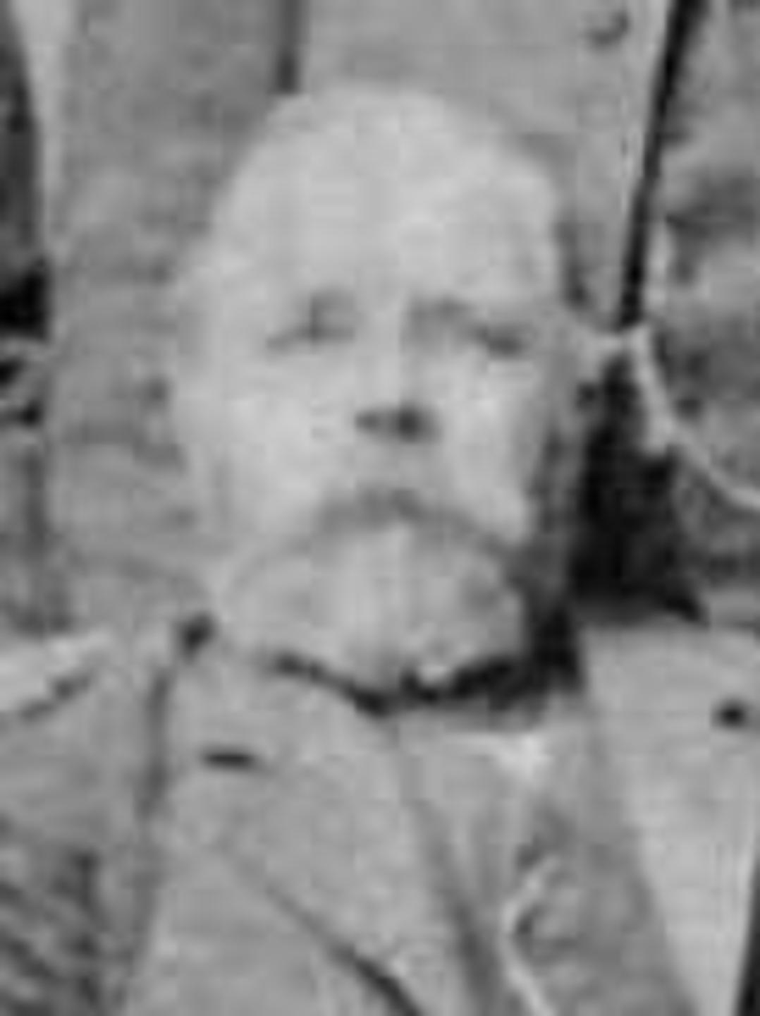 Luke Provost (1809 - 1863) Profile